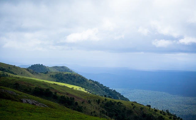 而与莱加内 而与莱加内