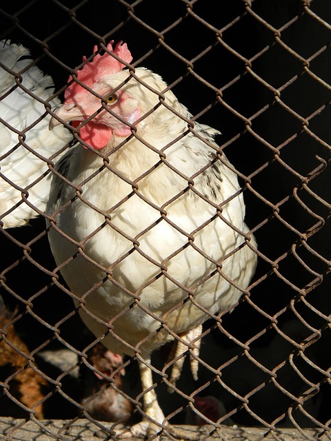 显示了他在 显示了他在