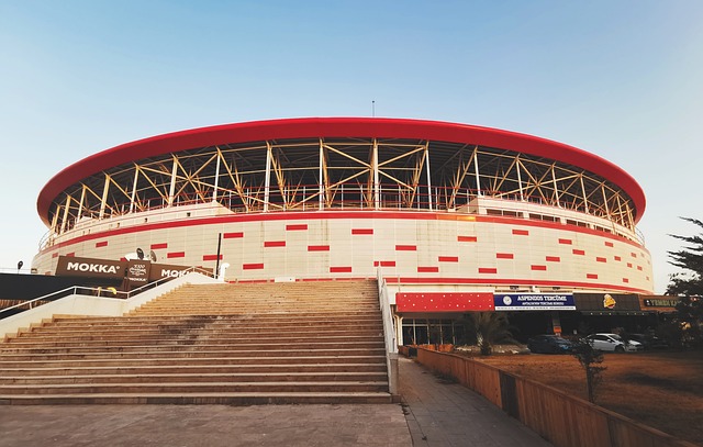 也为我们揭 也为我们揭