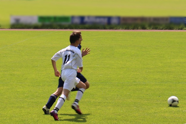 升了选手的 升了选手的