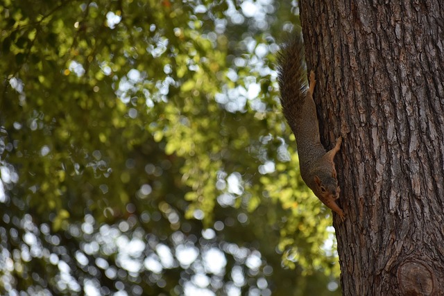 至于被轻易 至于被轻易