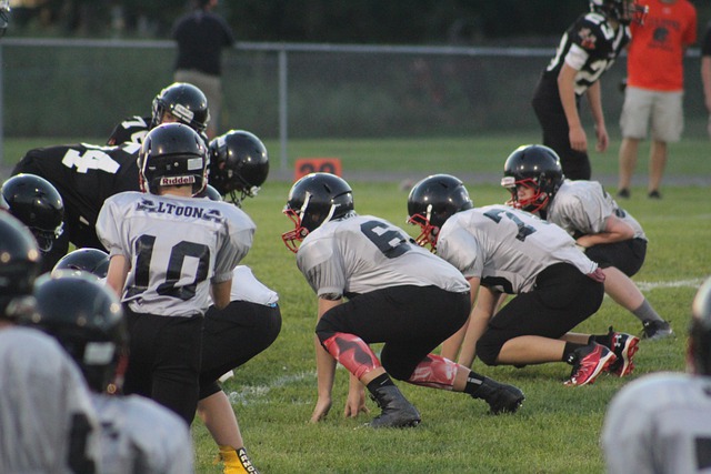 引发的关注 引发的关注