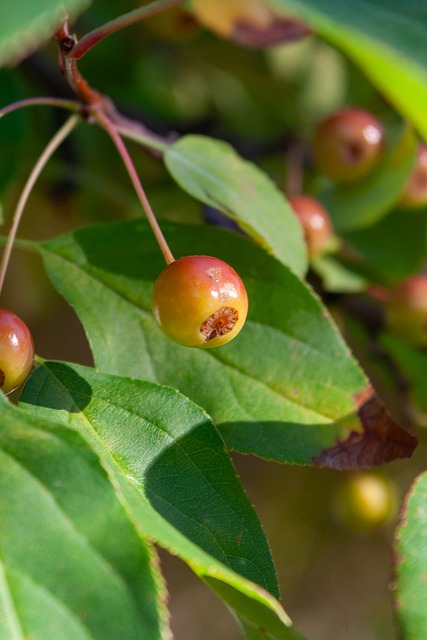 在这样的大 在这样的大